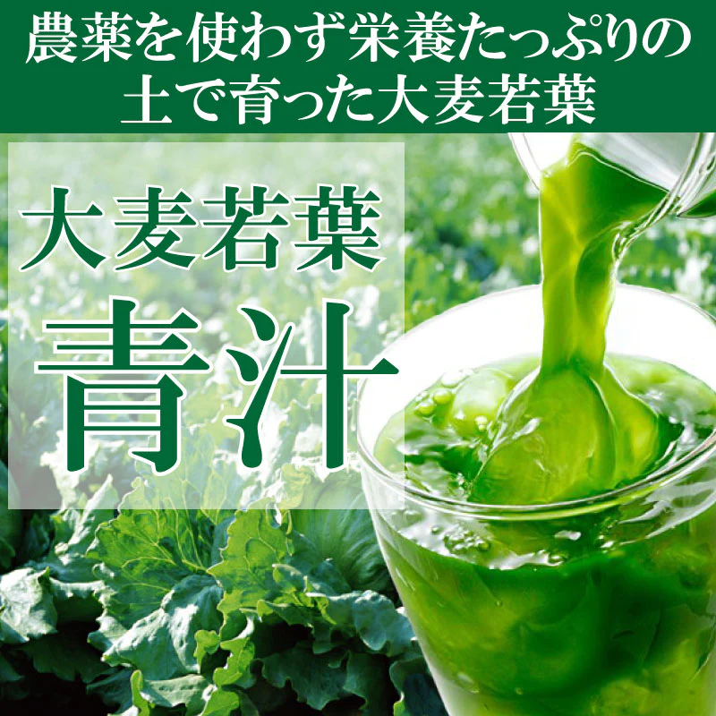 大麦若葉の青汁 3g×50袋 箱なし 送料無料