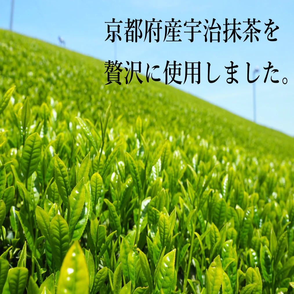 送料無料 お得2個セット 宇治抹茶ラテ　120ｇ×【2個セット】  ミルクで溶かせばおうちで簡単抹茶ラテ 甘すぎない 宇治抹茶の風味
