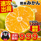 産地直送 熊本県産 みかん 訳あり 送料無料 熊本ミカン 大玉 小玉 不選別 規格外 果物 柑橘 九州 訳アリ 蜜柑 みかん 3-7営業日以内に発送予定（土日祝除く）