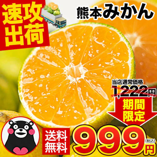 産地直送 熊本県産 みかん 訳あり 送料無料 熊本ミカン 大玉 小玉 不選別 規格外 果物 柑橘 九州 訳アリ 蜜柑 みかん 3-7営業日以内に発送予定（土日祝除く）