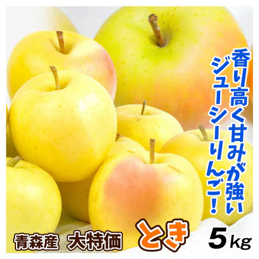 りんご とき 青森産 5kg （発送予定：12月中旬より）