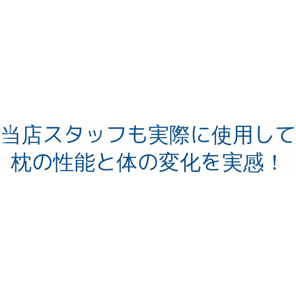 睡速1.0  枕 専用カバー付き