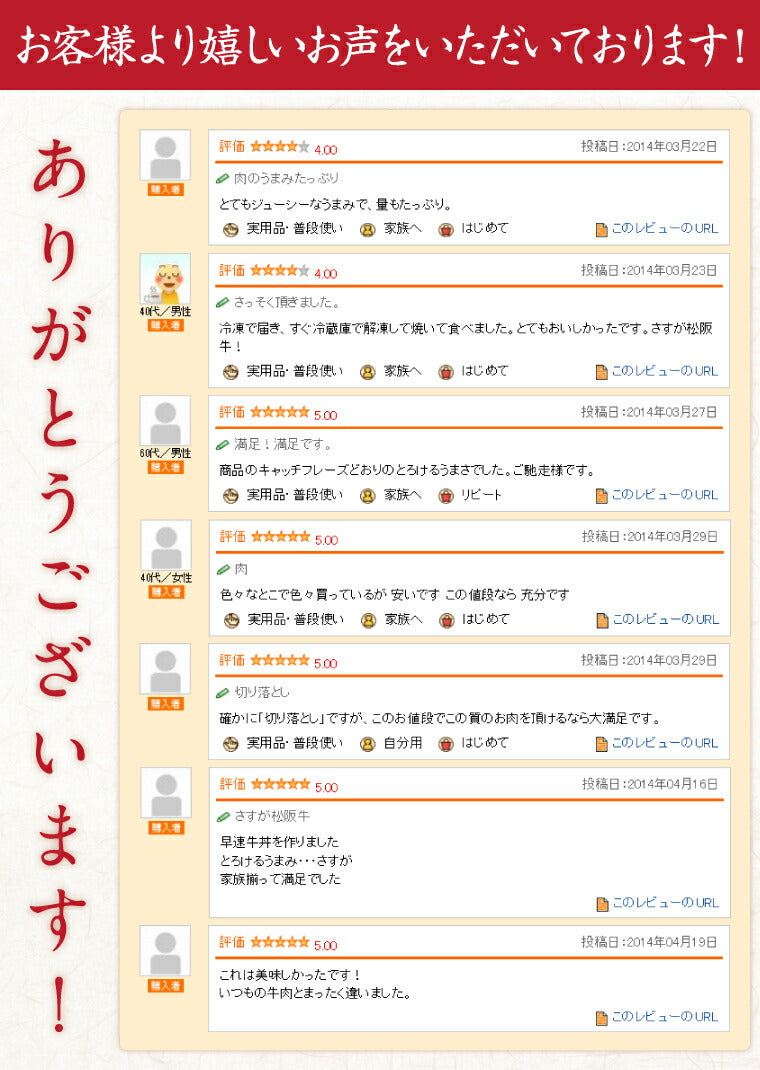 三重県特産品　ブランド牛　松阪牛切り落とし500ｇ ×２