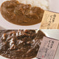 【3人シェア買いでお得】松阪牛ビーフカレー（200g×5個）＆松阪牛ビーフシチュー（200g×5個）セット