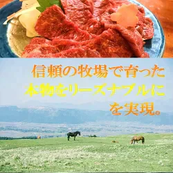 馬刺し　レバー　300g