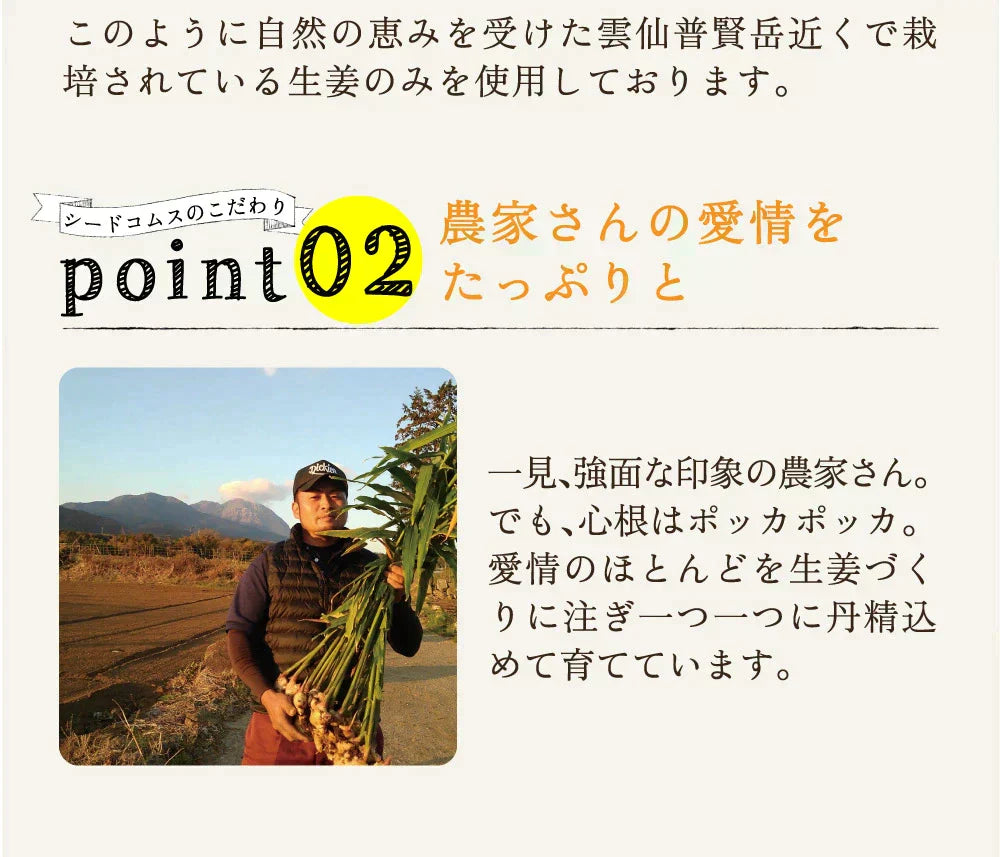しょうが美人 ペースト 《1箱31包入り》 長崎県産しょうが使用 化学調味料　着色料保存料香料全て一切不使用　かぼす 黒糖 生姜 冷え ジンジャー シロップ エール ドリンク ダイエット ゼリー