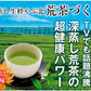 【2個セット】日本橋いなば園 静岡深蒸し茶 荒茶づくり 100g ネコポス メール便送料無料