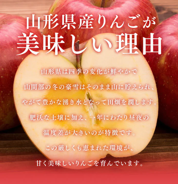 【11月下旬より順次出荷】りんご 訳あり 約5kg 品種おまかせ ご自宅用 山形県産 林檎 山形 (一部地域別途送料)