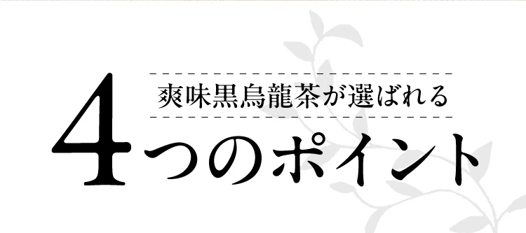 爽味黒烏龍茶 ポット用30個入（ティーバッグ 健康茶 健康飲料 プーアール茶 ウーロン茶 お茶）【プチプラ特集】