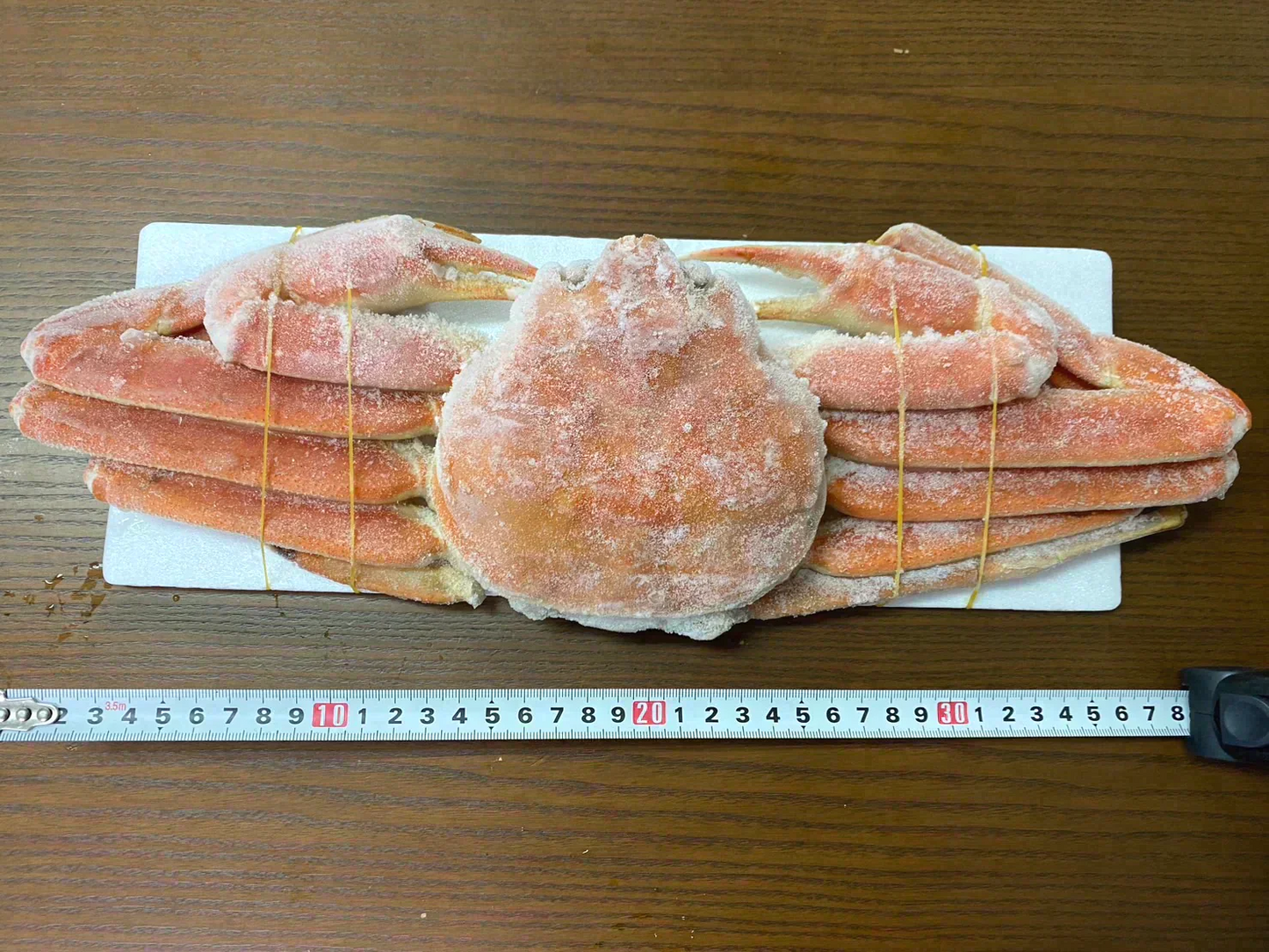 ボイル本ズワイ蟹　5㎏　発泡箱入り（1尾あたり約700g）