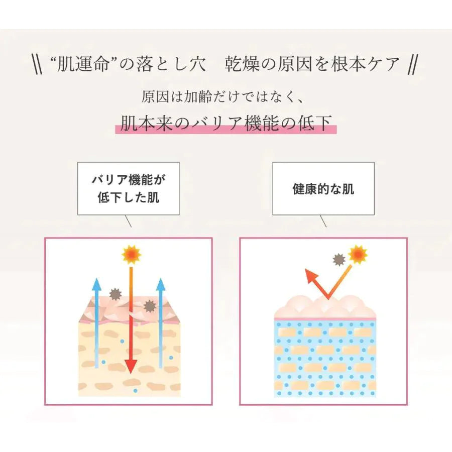 ヒアルロン酸スキンローション plus 600ml◆ 化粧水 おすすめ 潤い 美白 大容量 お徳用 スキンケア メンズ 男女兼用 無添加 無香料 乾燥肌 敏感肌 保湿 敬老の日 母の日