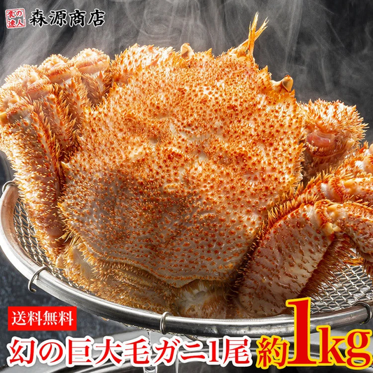 【数量限定】幻の巨大毛ガニ1尾約1ｋg 送料無料 《※冷凍便》 _姿_蟹 お取り寄せグルメ 食品 ギフト
