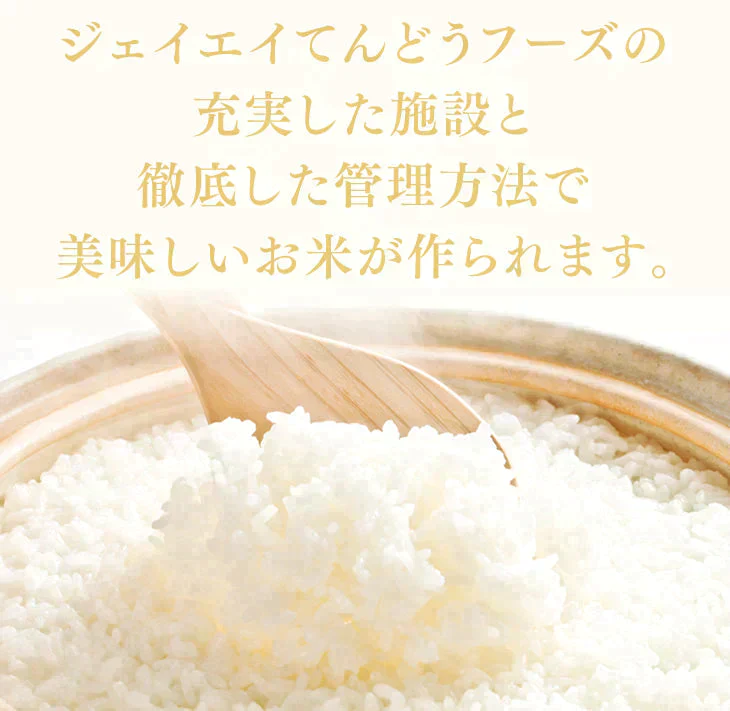 新米 令和5年産 山形県産 はえぬき 精米 10kg(5kg×2) 送料無料※一部地域を除く