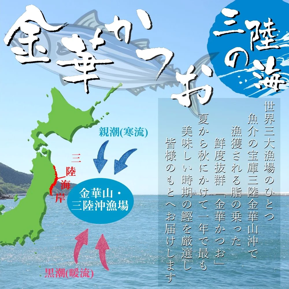 三陸石巻のブランド鰹 金華かつお たたき 三本セット(背節、腹節混合) 鰹のたたき かつおのたたき カツオ お刺身 海鮮 グルメ 食べ物 おつまみ お取り寄せ お歳暮 お祝い プレゼント 敬老の日 贈答用