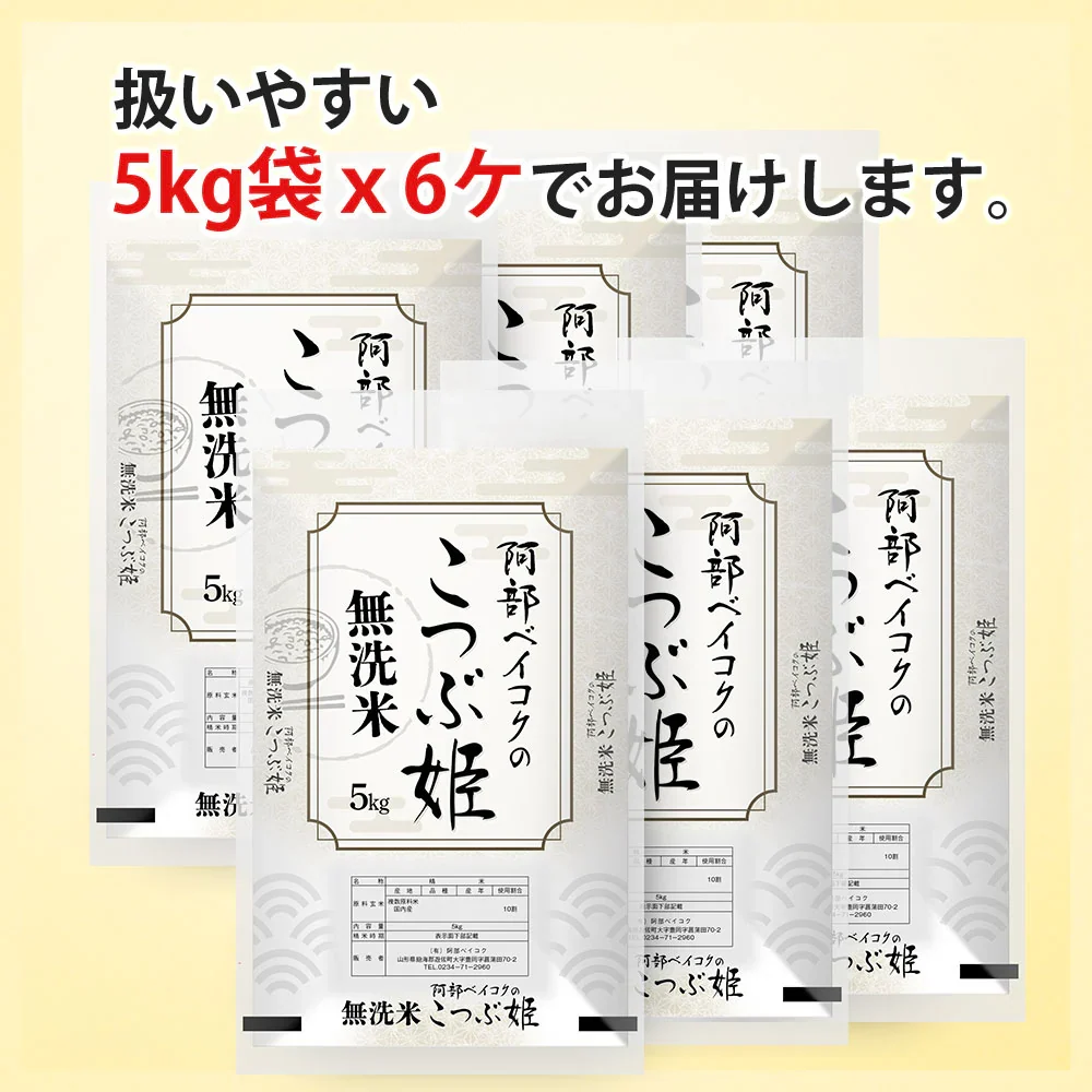 無洗米 30kg (5kg×6袋) こつぶ姫 国内産 送料無料 無洗米30キロ こめ コメ お米 精米 お米30kg お米30キロ