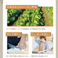乾燥野菜 100g×1袋【青森のねぎ香るミックス】やさいマルシェ 無添加 ブドウ糖不使用 簡単 無駄なし 時短 青森産 アウトドア 災害常備菜 長期保存 食物繊維 国産