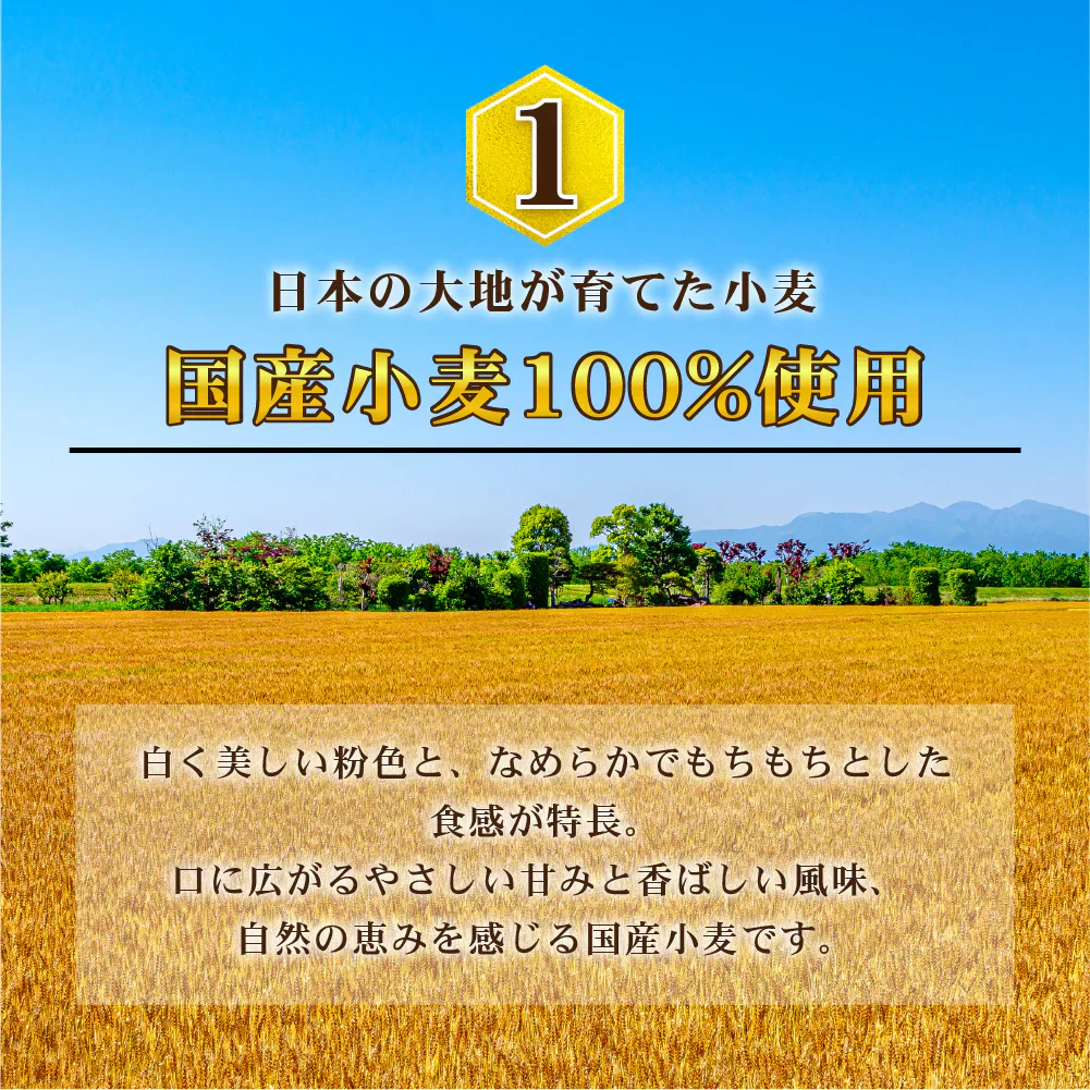 頑固父さんが唸る讃岐生うどん 【普通麺】 9食セット (麺300g×3袋 ) 送料無料 香川県 産地直送 お試し フード おすすめ グルメ食品 人気 ポスト投函 お取り寄せ おつまみ【ご新規さん限定商品】