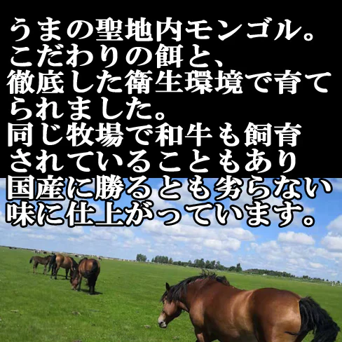 馬刺し　レバー　300g