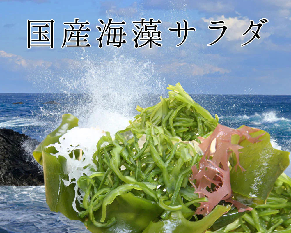 【在庫処分特価】4種の国産海藻サラダ50g 【賞味期限：2025年1月31日】
