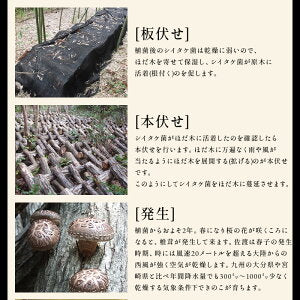 原木しいたけ 椎茸 肉厚 完全無農薬栽培 新潟県 佐渡産 60g