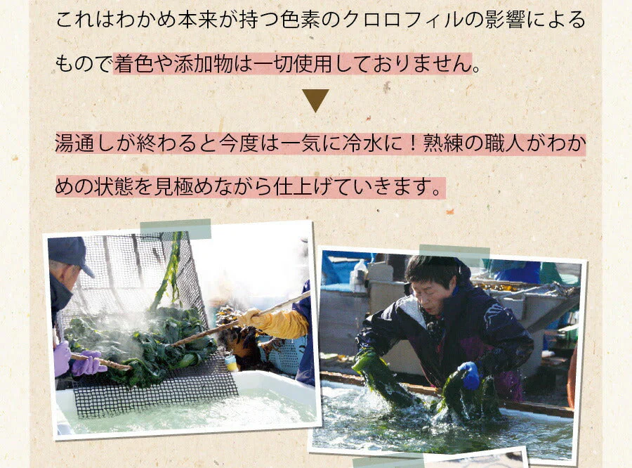 【2個セット】日本橋いなば園 三陸産カットわかめ 40g メール便送料無料