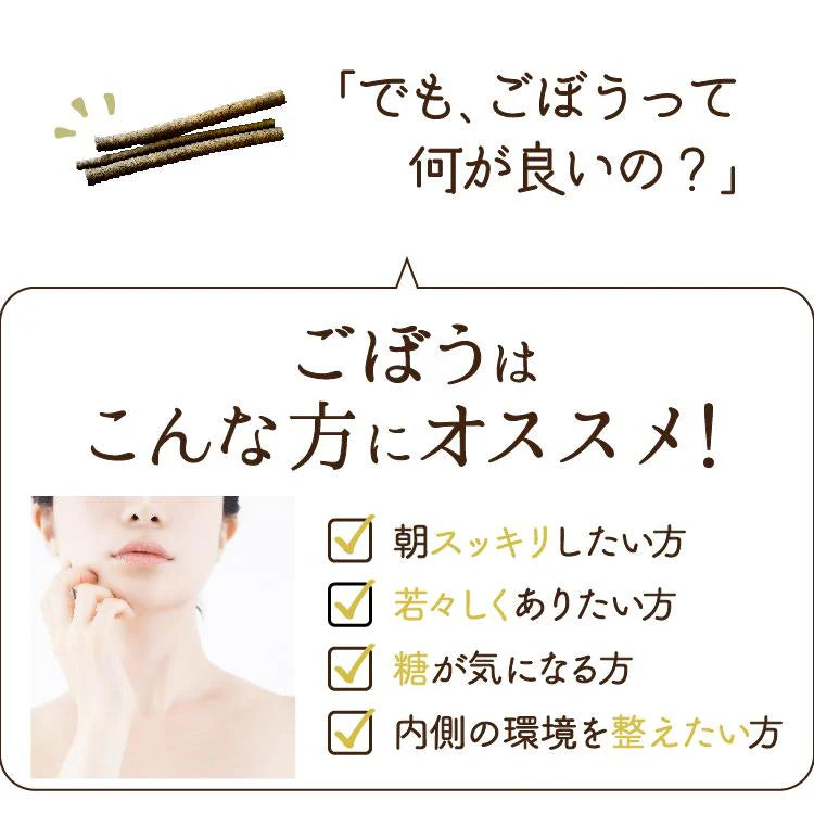 かごしまの粉末ごぼう茶 50g