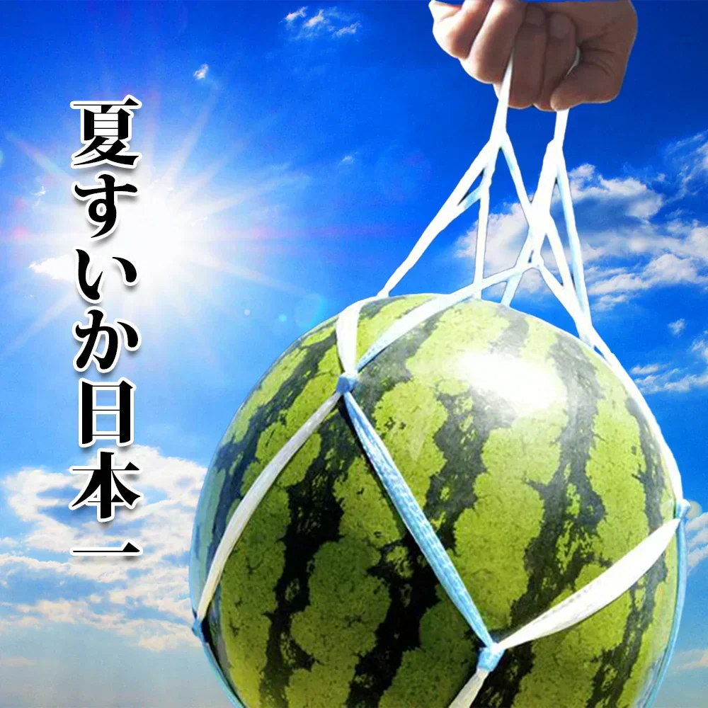 すいか 国産 秀品 MA規格以上 ４kg-５kg 家庭用 大玉サイズ スイカ 贈答 ギフト すいか 西瓜 スイカ かもと 糖度11度以上選果 光センサーによる空洞検査済み 食品 フルーツ 果物 スイカ ギフト 贈答 進物 御供え お供え
