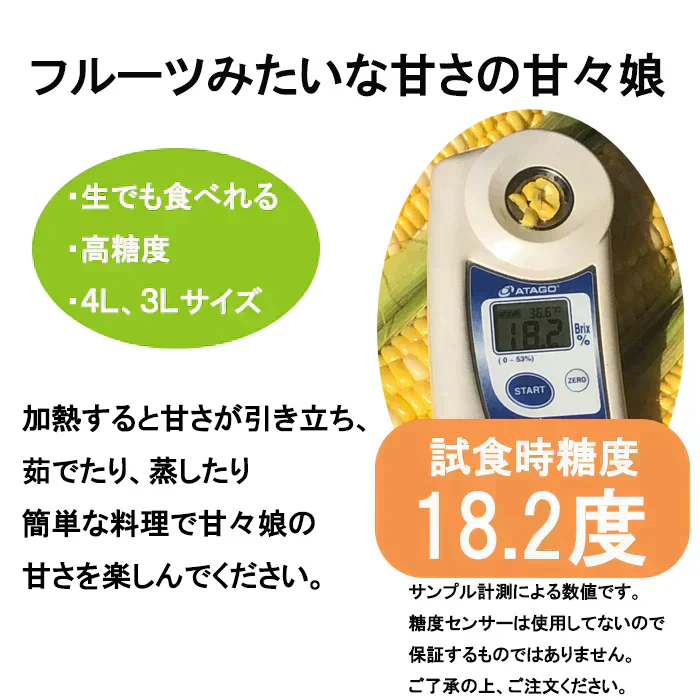 【6月発送】とうもろこし 甘々娘 約1.5キロ 朝採り 生で食べられるとうもろこし