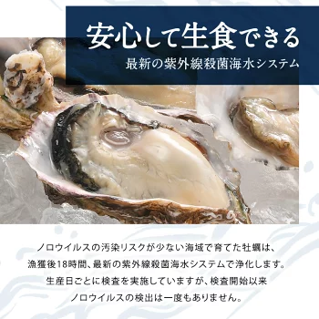 兵庫県室津産 ハーフシェルオイスター 殻付き牡蠣 生食用 10個入り［冷凍のみ］【送料無料】【3～4営業日以内に出荷】