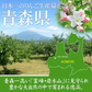 りんご サンふじ 青森産 5kg ご家庭用
