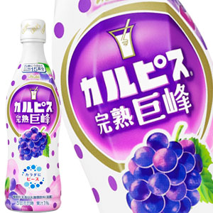 アサヒ カルピス 巨峰 470mlPET×12本［賞味期限：4ヶ月以上］北海道・沖縄・離島は送料無料対象外［送料無料］【3?4営業日以内に出荷】