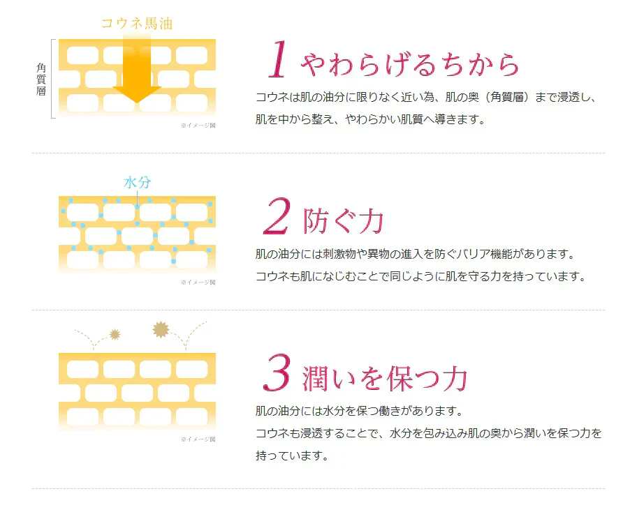 馬油プラセンタ化粧品 コウネ リッチクリーミーウォッシュ〈初回限定〉トライアルサンプルセットをプレゼント★　洗顔　保湿　潤い　乾燥　スキンケア　国産　しっとり　もっちり　ギフト