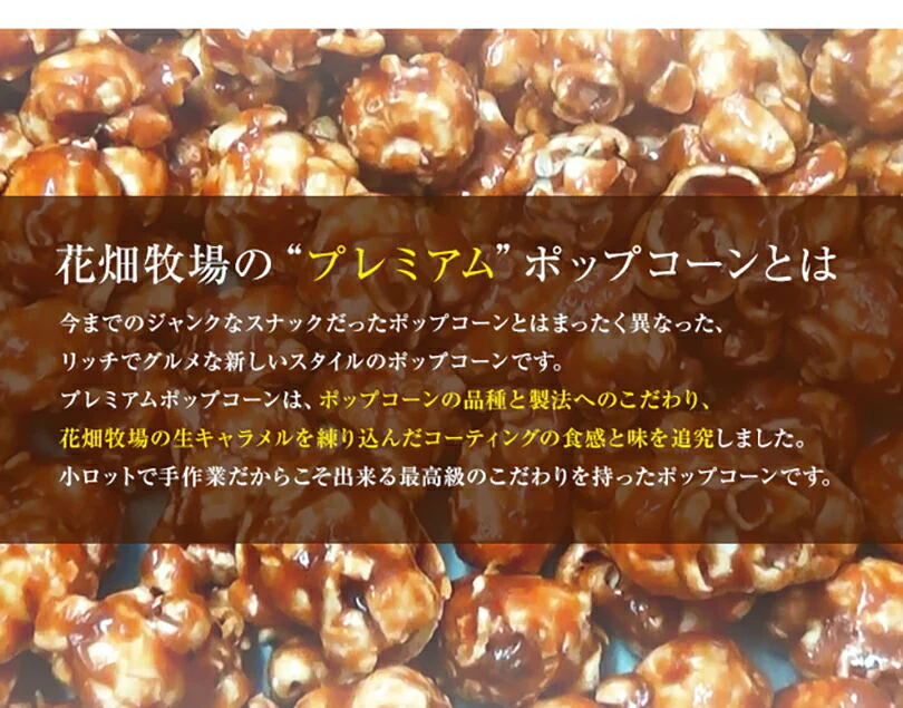 花畑牧場 生キャラメルプレミアムポップコーン 生キャラメル 100g 10個セット 送料無料 北海道産 お菓子 おやつ 手造り リッチ お土産 手土産 プレゼント 贈り物 お茶請け
