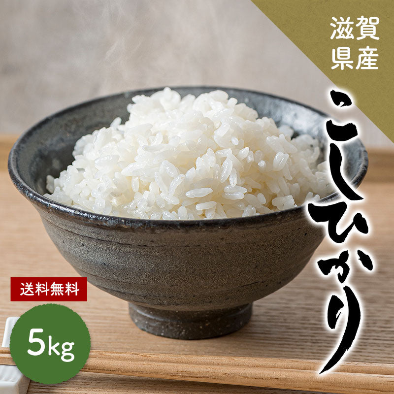 米 5kg 雪若丸 精米 山形県産 送料無料 令和6年産 ギフト 単一原料米 ブランド米 こめ コメ 白米 産地直送 kkb-005