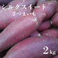 箱いっぱいシリーズ！房総野菜！シルクスイート　2キロ　詰め合わせ　さつまいも　甘くておいしいさつまいも　産地直送　産直