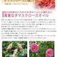 【リフレ 薔薇の滴 62粒×お得３袋セット】（約3ヶ月分）高級ダマスクローズオイル100％使用 薔薇の滴 ローズサプリ ばらのしずく バラの滴 フレグランスサプリ 吐息は薔薇 エチケット系サプリ 口臭予防 フレグランス サプリメント 栄養機能食品 ビタミンE サプリメント エチケット 口が臭い ブレスケア ローズ ダマスクローズオイル ブルガリア産 ローズサプリ バラのサプリメント