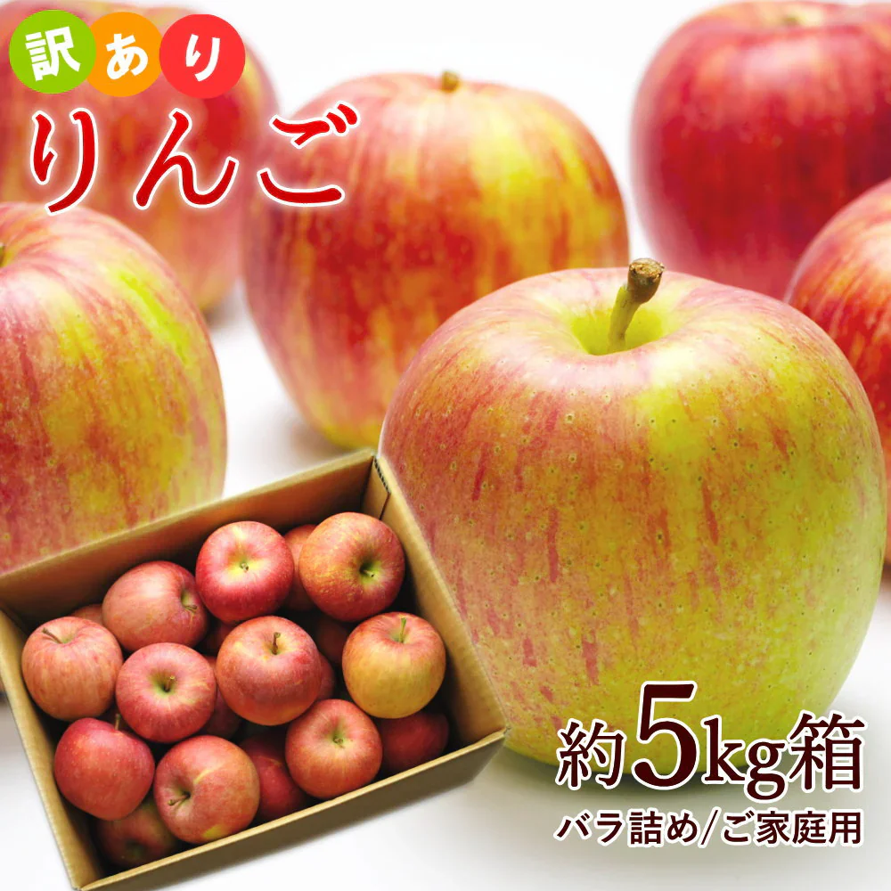 【12月上旬-下旬頃ご注文受付順次】訳ありりんご ふじ 山形県産 サンふじ 約5kg 山形産 バラ詰め 林檎 リンゴ ふじ フジ サイズおまかせ