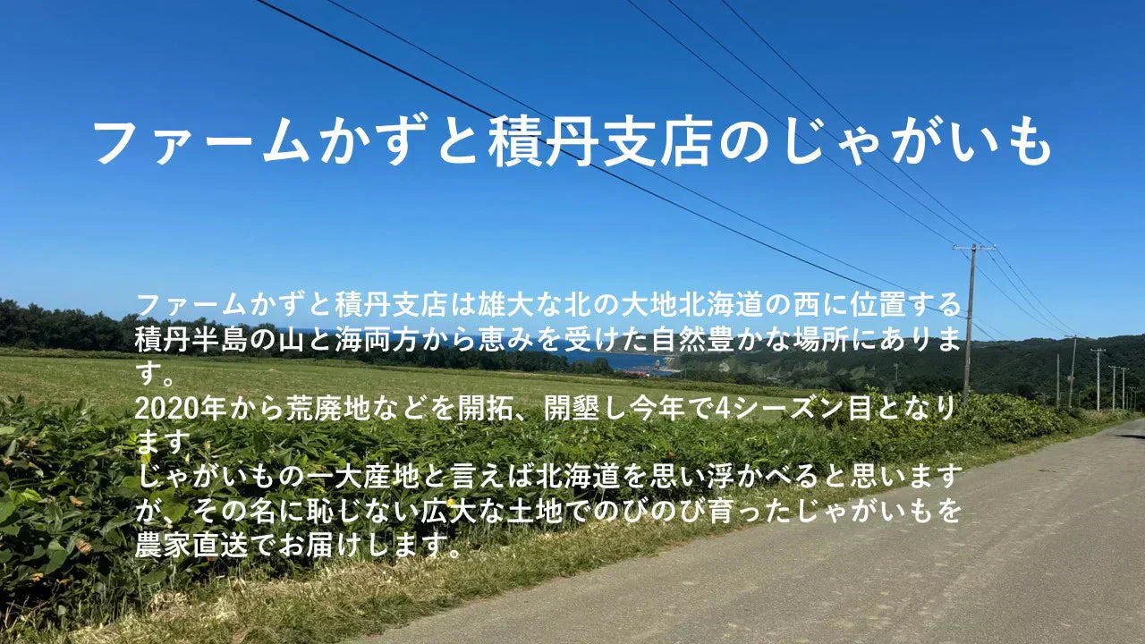 訳あり北海道じゃがいも　5kg