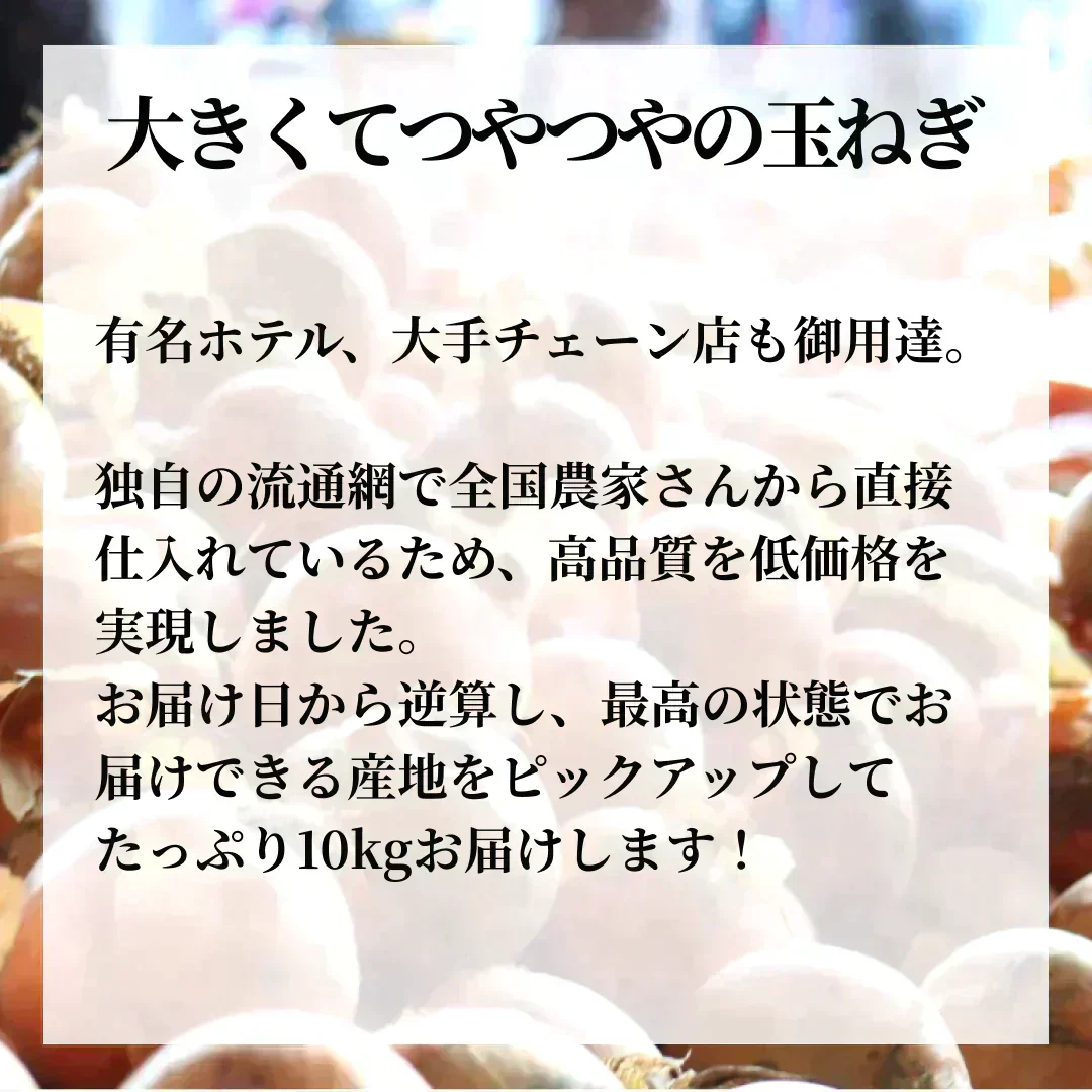 つやつやたまねぎ 10kg【ご新規さん限定商品】