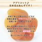 【100g】ドライアプリコット 　ドライフルーツ