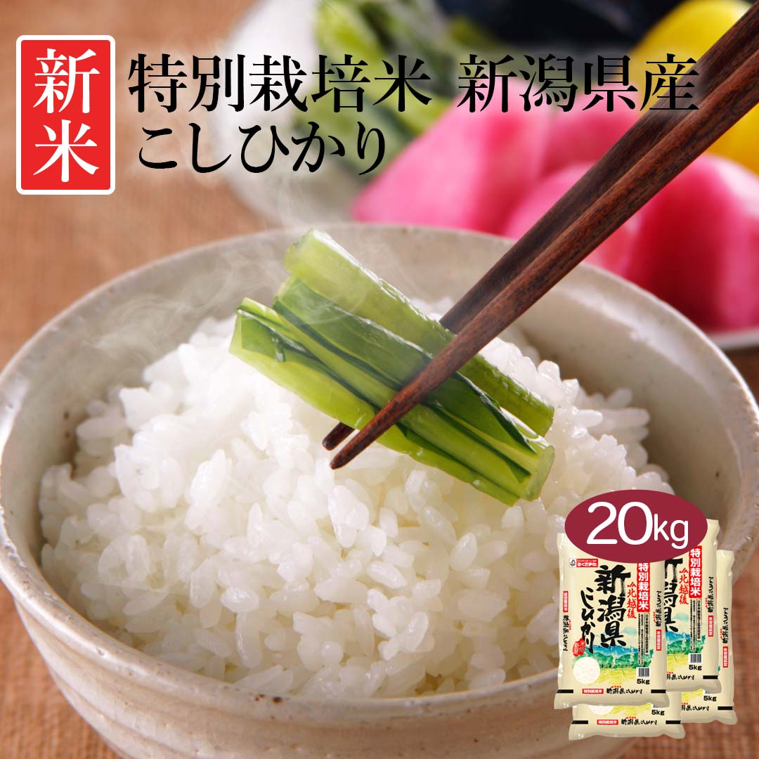 米 精米 新潟県 特別栽培米 こしひかり 20kg (5kg×4) 令和5年産 新米 JA北越後指定 お米 白米 おくさま印 国産 食品 ギフト 引っ越し 挨拶 出産 内祝い お中元 お歳暮 結婚 快気 還暦 香典返し お年賀 送料無料