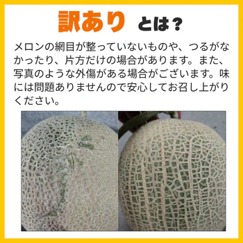 ＜数量限定＞【1玉入り】訳あり 富良野産赤肉メロン ｜ 中玉（1玉1.6kg以上） 送料無料【ゲリラセール】