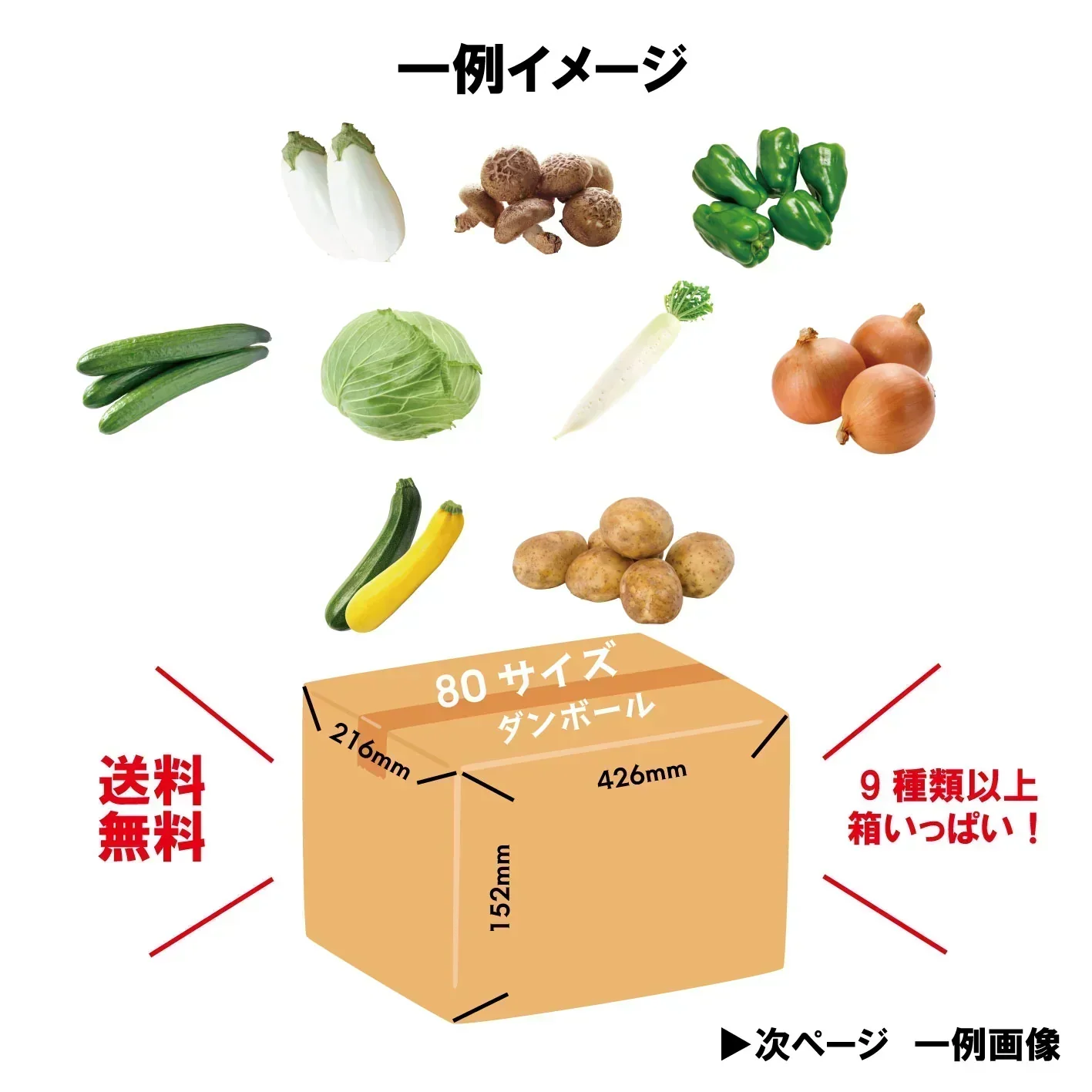 【80サイズ箱にギッシリ！房総産・大地の恵みを味わう得々野菜セット】当日採れたて直送！　野菜80