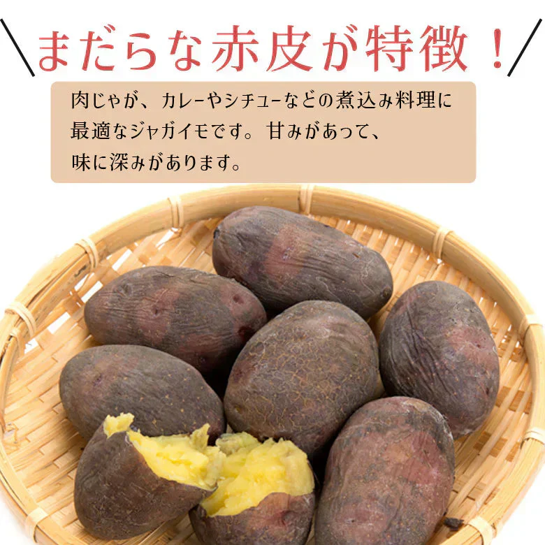 じゃがいも 北海道 グラウンドペチカ 変わった品種 送料無料 5ｋｇ 産地直送 ジャガイモ 北海道産 デストロイヤー