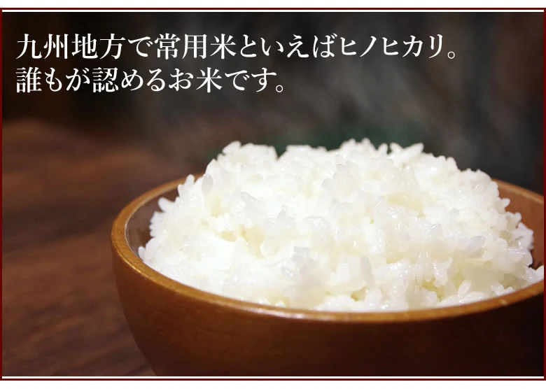 ひのひかり 米 計20kg(10kg×2) 令和6年産 送料無料 新米 熊本県産 お米 白米 玄米 コシヒカリ 森のくまさん