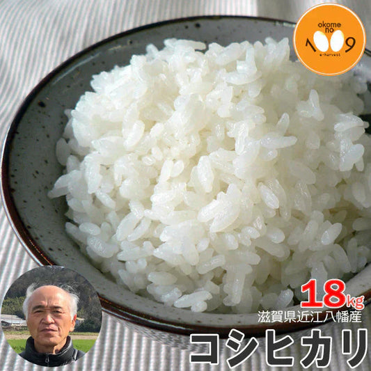 米 滋賀県近江八幡産 コシヒカリ 白米 18kg 令和7年産 内野営農組合 環境こだわり農産物