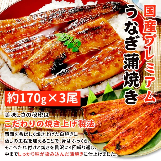 国産 うなぎ蒲焼き 約170g×3尾 送料無料 九州産 今だけ200gにグレードアップ