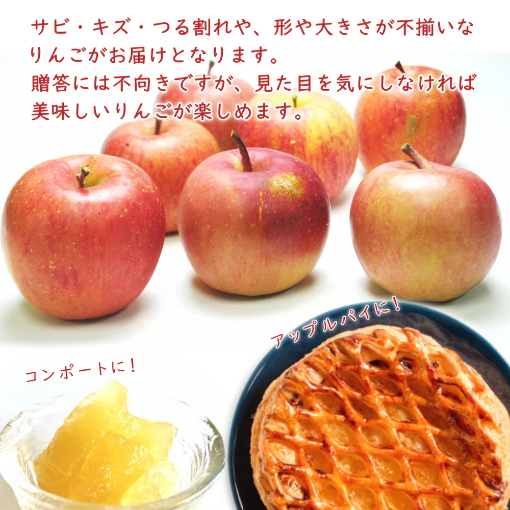 【12月上旬-下旬頃ご注文受付順次】訳ありりんご ふじ 山形県産 サンふじ 約5kg 山形産 バラ詰め 林檎 リンゴ ふじ フジ サイズおまかせ