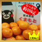 熊本産 みかん 訳あり 約10kg（箱込10kg 9kg+保証分500g）ご家庭用 送料無料 ※不良500g以上の場合は再送対応可能【ご新規さん限定商品】