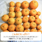 【発送は１月末からスタート】3種以上！愛媛のみかん食べ比べセット！5kg高級みかんが入るかも！?【福袋】